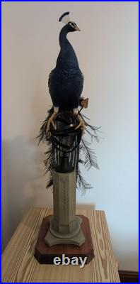 Border Fine Arts Regal Splendour Peacock LE 368/500 Richard Roberts COA