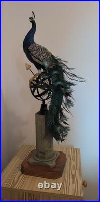 Border Fine Arts Regal Splendour Peacock LE 368/500 Richard Roberts COA