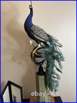 Border Fine Arts Regal Splendour Peacock Richard Roberts LE368/500 COAMillennium