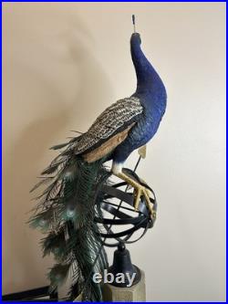 Border Fine Arts Regal Splendour Peacock Richard Roberts LE368/500 COAMillennium