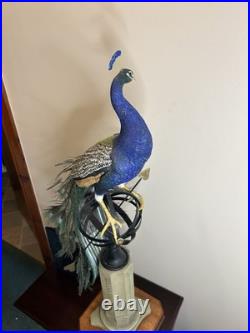 Border Fine Arts Regal Splendour Peacock Richard Roberts LE368/500 COAMillennium