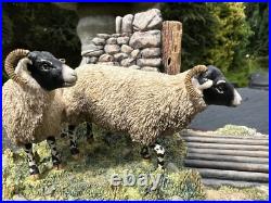 Border Fine Arts'Right Place, Wrong Time' Swaledale Tup, Ewes and Collie JH104