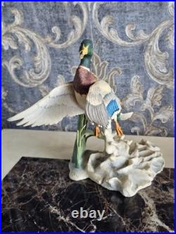 Border Fine Arts'Rising Mallard' By Frank Falco Figurine Limited Edition Border Fine Arts'Rising Mallard' By Frank Falco Figurine Limited Edition