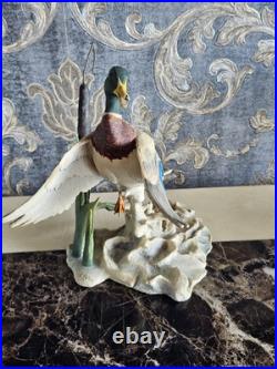 Border Fine Arts'Rising Mallard' By Frank Falco Figurine Limited Edition Border Fine Arts'Rising Mallard' By Frank Falco Figurine Limited Edition