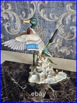 Border Fine Arts'Rising Mallard' By Frank Falco Figurine Limited Edition Border Fine Arts'Rising Mallard' By Frank Falco Figurine Limited Edition