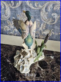 Border Fine Arts'Rising Mallard' By Frank Falco Figurine Limited Edition Border Fine Arts'Rising Mallard' By Frank Falco Figurine Limited Edition