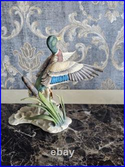Border Fine Arts'Rising Mallard' By Frank Falco Figurine Limited Edition Border Fine Arts'Rising Mallard' By Frank Falco Figurine Limited Edition