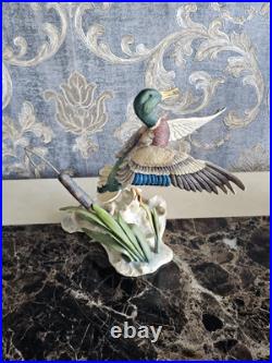 Border Fine Arts'Rising Mallard' By Frank Falco Figurine Limited Edition Border Fine Arts'Rising Mallard' By Frank Falco Figurine Limited Edition