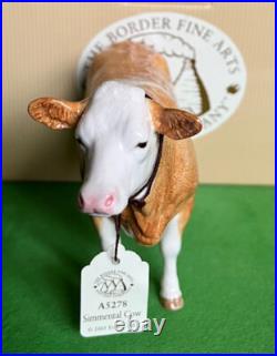 Border Fine Arts SIMMENTAL COW NEW Boxed A5278