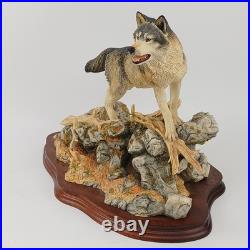 Border Fine Arts, STW07, Pack Leader, Wolf (large Size)