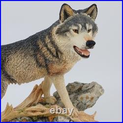 Border Fine Arts, STW07, Pack Leader, Wolf (large Size)