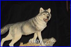 Border Fine Arts STW07 Pack Leader Wolf (large Size) Modeller Richard and papers