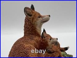 Border Fine Arts Scene'Fox & Family', by D Walton B0038 1996