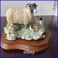 Border Fine Arts Scotch sheep and three lambs? Signed Ayres 1972 James Herriot
