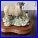 Border-Fine-Arts-Scotch-sheep-and-three-lambs-Signed-Ayres-1972-James-Herriot-01-mdp