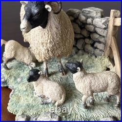 Border Fine Arts Scotch sheep and three lambs? Signed Ayres 1972 James Herriot