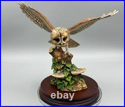 Border Fine Arts Scotland 1989 Wide Winged Tawny Owl Ray Ayres Figure