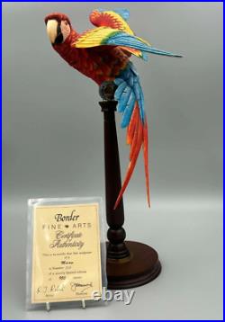 Border Fine Arts Scotland Macaw Limited Edition Large Bird Figure