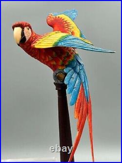 Border Fine Arts Scotland Macaw Limited Edition Large Bird Figure