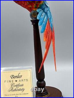 Border Fine Arts Scotland Macaw Limited Edition Large Bird Figure