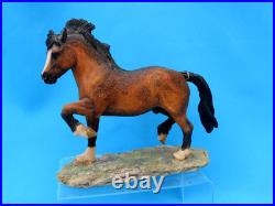 Border Fine Arts Scotland WELSH COB Style 2 Judy Boyt RARE a/f