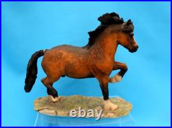 Border Fine Arts Scotland WELSH COB Style 2 Judy Boyt RARE a/f