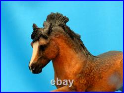 Border Fine Arts Scotland WELSH COB Style 2 Judy Boyt RARE a/f Border Fine Arts Scotland WELSH COB Style 2 Judy Boyt RARE a/f