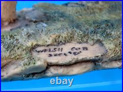 Border Fine Arts Scotland WELSH COB Style 2 Judy Boyt RARE a/f