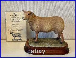 Border Fine Arts Sculpture -Charollais Ram Limited Edition 191/750 Ayres