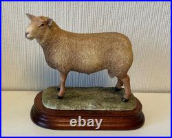 Border Fine Arts Sculpture -Charollais Ram Limited Edition 191/750 Ayres