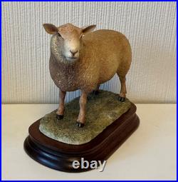 Border Fine Arts Sculpture -Charollais Ram Limited Edition 191/750 Ayres