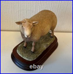 Border Fine Arts Sculpture -Charollais Ram Limited Edition 191/750 Ayres