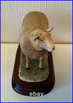 Border Fine Arts Sculpture -Charollais Ram Limited Edition 191/750 Ayres