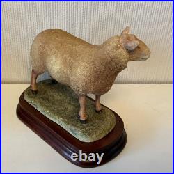 Border Fine Arts Sculpture -Charollais Ram Limited Edition 191/750 Ayres