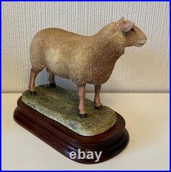 Border Fine Arts Sculpture -Charollais Ram Limited Edition 191/750 Ayres