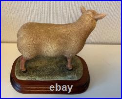 Border Fine Arts Sculpture -Charollais Ram Limited Edition 191/750 Ayres