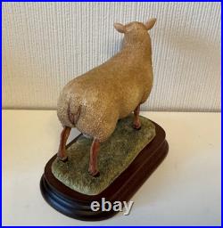 Border Fine Arts Sculpture -Charollais Ram Limited Edition 191/750 Ayres