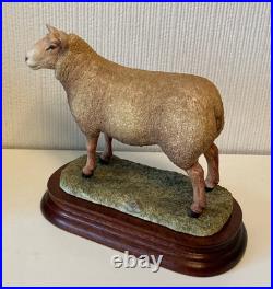 Border Fine Arts Sculpture -Charollais Ram Limited Edition 191/750 Ayres
