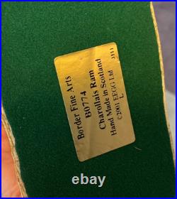 Border Fine Arts Sculpture -Charollais Ram Limited Edition 191/750 Ayres