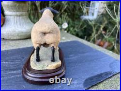 Border Fine Arts Sculpture Suffolk Ram by Ray Ayres Ltd Ed 617/1250 COA 1981