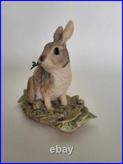 Border Fine Arts Seated Rabbit #JB4 Judy Boyt 1983 Perfect and Original Box