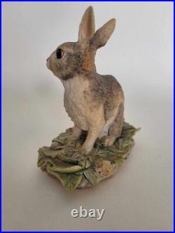 Border Fine Arts Seated Rabbit #JB4 Judy Boyt 1983 Perfect and Original Box