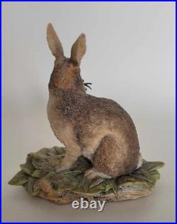 Border Fine Arts Seated Rabbit #JB4 Judy Boyt 1983 Perfect and Original Box
