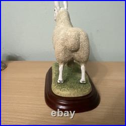 Border Fine Arts Sheep Breeds A3225 Border Leicester Ram Original In Boxes