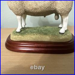 Border Fine Arts Sheep Breeds A3225 Border Leicester Ram Original In Boxes