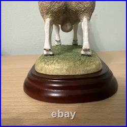 Border Fine Arts Sheep Breeds A3225 Border Leicester Ram Original In Boxes