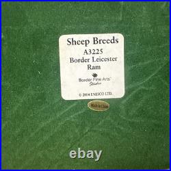 Border Fine Arts Sheep Breeds A3225 Border Leicester Ram Original In Boxes