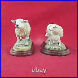 Border Fine Arts Sheep Family Texel Ram A0736 / Texel Ewe & Lamb B120 BFA 3127
