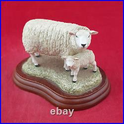 Border Fine Arts Sheep Family Texel Ram A0736 / Texel Ewe & Lamb B120 BFA 3127