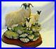 Border-Fine-Arts-Sheep-Figurine-A-Ewe-And-A-Pair-Limited-Ed-Boxed-Model-B-0238-01-wnv